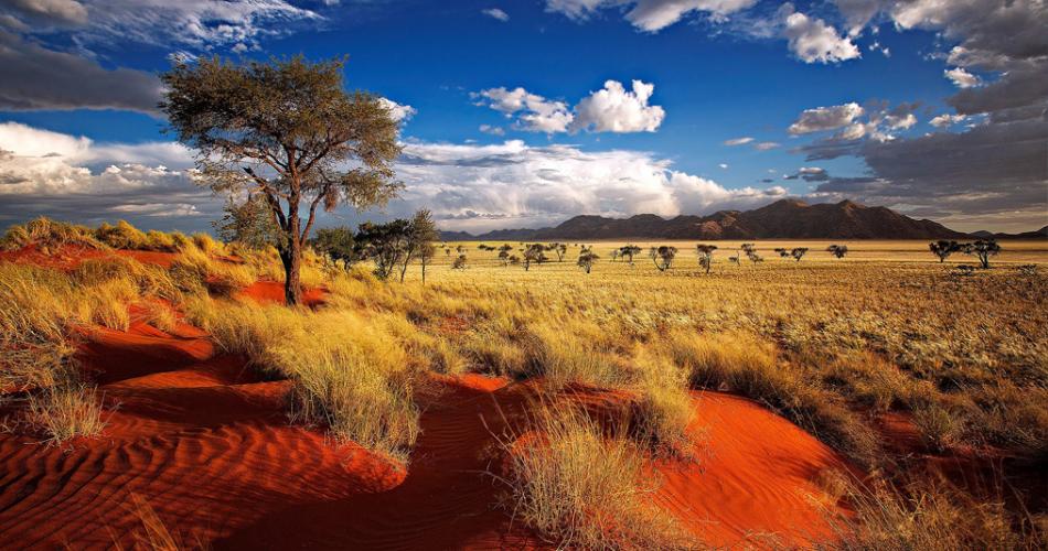 Rode Duinen, Namibië
